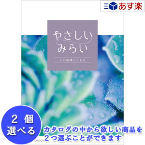 y 11܂ł̒ẑ₳v`Mtg TXeiu𑡂 n[jbN J^OMtg  ₳݂炢  2iIׂ_u`CX  31600~R[X 