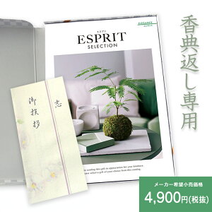 yVňɒyTԂz J^OMtg ESPRITuGKXv4,900~(Ŕ)R[X A󖳗 l ii4000~ TԂ Ԃ l\ Au @ e{ 