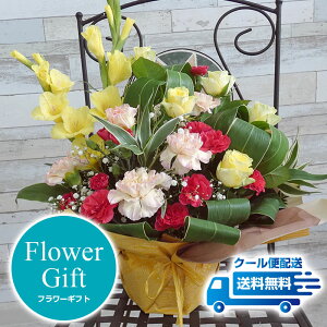 yt[MtgzFn̖邢؂₩ȃAWgQ 蕨 v[g a \ Vzj JXj