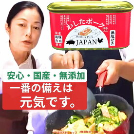 24缶 沖縄 ポーク缶 わしたポーク JAPAN 備蓄 非常食 食料 食料品 缶詰 備蓄用 缶詰め 詰め合わせ 楽天1位 国産 無添加 無塩せき 防災 長期保存 発色剤 不使用 カタリストショップ 沖縄県物産公社 台風