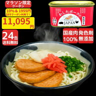【マラソン限定最大100％ポイントバック】10%＆1955円offクーポンで 11,095円 沖縄ポーク缶 24缶 わした…