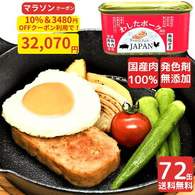 10%＆3480円offクーポンで 32,070円【マラソン限定最大100％ポイントバック】沖縄ポーク缶 72缶 わしたポーク JAPAN おつまみ おかず 備蓄 非常食 食料 食料品 缶詰 備蓄用 缶詰め 国産 無添加 無塩せき 送料無料 防災 長期保存 発色剤 不使用