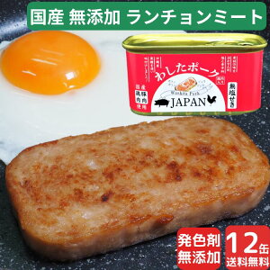 12 킵|[N JAPAN ~ H H Hi ʋl ~p ʋl lߍ킹 yV1 Y Y   h ۑ |[N `~[g F sgp