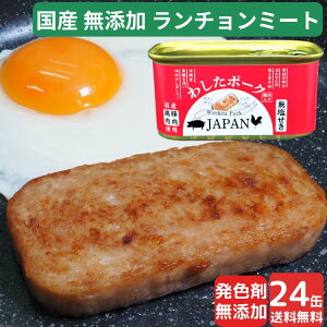 24 킵|[N JAPAN ~ H H Hi ʋl ~p ʋl lߍ킹 yV1 Y Y   h ۑ F sgp