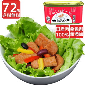 【4400円OFF クーポン利用で 35,100円】72缶 わしたポーク JAPAN おつまみ おかず 備蓄 非常食 食料 食料品 缶詰 備蓄用 缶詰め 詰め合わせ 国産 無添加 無塩せき 送料無料 防災 長期保存 ポーク 発色剤 不使用