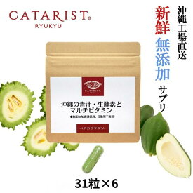 31粒×6袋 【186粒 】【栄養機能食品 ナイアシン ビタミンB12 ビタミンB1】マルチビタミン サプリメント サプリ 無添加 青汁 ナイアシン 野菜不足 ビタミンB2 ビタミンB1 ビタミンB6 ビタミンA 葉酸 ビタミンD ビタミンB12