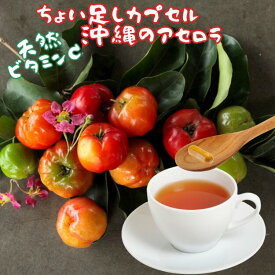 ダイエット ファスティング 栄養補給 アセロラ 無農薬 国産 天然 ビタミンC ビタミン 沖縄産 葉酸 サプリメント 無農薬 ノンカフェイン 栄養機能食品 あけび アケビ 酵素ドリンク 断食 置き換え 短期断食