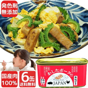 6 킵|[N JAPAN ~ H H ʋl ~p ʋl lߍ킹 ܂Ƃߔ Y Y   h ۑ |[N `~[g F sgp