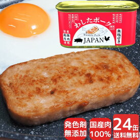 24缶 わしたポーク JAPAN 備蓄 非常食 食料 食料品 缶詰 備蓄用 缶詰め 詰め合わせ 楽天1位 国産 無添加 無塩せき 送料無料 防災 長期保存 発色剤 不使用