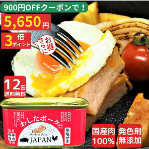 900~off N[| 5650~  3{ |Cg }\  TԃLO1 12 킵|[N JAPAN ~ H H Hi ʋl ~p ʋl lߍ킹 yV1 Y Y  