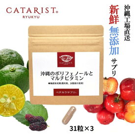 31粒×3袋【93粒】 沖縄 ポリフェノール マルチビタミン 11種類 【栄養機能食品】サプリメント サプリ 無添加 アセロラ ビタミンC 葉酸 ナイアシン 野菜不足 ビタミンE ビタミンB2 ビタミンB1 葉酸 ビタミンD ビタミンB12