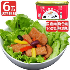 22日まで 10%OFFクーポン利用で 3947円 6缶 わしたポーク JAPAN 備蓄 非常食 食料 缶詰 備蓄用 缶詰め 詰め合わせ まとめ買い 国産 無添加 無塩せき 送料無料 防災 長期保存 ポーク 発色剤 不使用