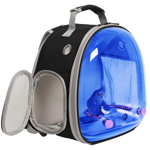 L[ bN ybgL[  ړp ʋCQ ENA o U s p o[hL[ CR IE 