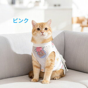 yViׁzy5P5{zL p㕞 pEFA ی EFA ʋCǍD _炩f GUxXJ[p D  pPA ybgEFA LpEFA 앞 fUC 