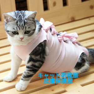 yX[p[Z[500~zVvfUC@Lbgp㕞@L畆ی앞 @Lpp㕞@LpEFA@앞@p㒅@LbgEFA@lR@˂p㕞 u[Ll@sN