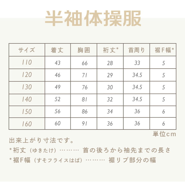 楽天市場】＼本日ポイント2倍／ [3点セット] 体操服 上下 セット  