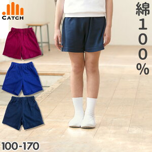 NI[^[pc (Z/GW/ԍ) ɂ₳100% ̑ q wZ NI[^[ n[tpci  R  lCr[j̑ ̈璅 w j̎q ̎qyzE424644/