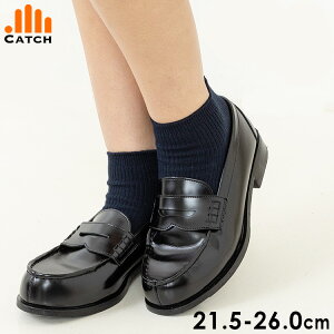 [t@[ fB[X  wZ  vC w Ǝ C ̎q q q Z w ʊw J̓ q 21.5 22 23 24 25 26y͂΂Ђ^CvzFW622946