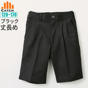 w XbNX n[tpc  ubN  120/130/140/150/160/170 j̎q wZ tH[}  wyzJL444484