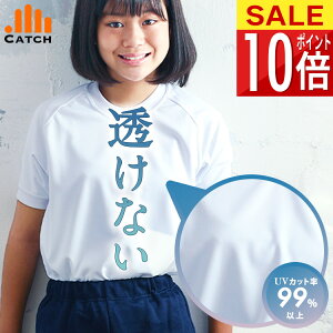 y365o | [zȂ ̑  Vc q ɂ ̑ wZ w ̎q ̈璅 jpij̎qOKjh~ wN  O LbY fB[X y