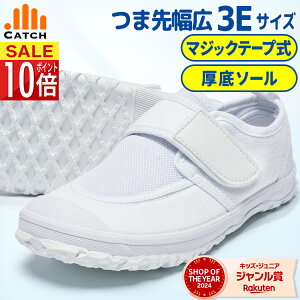 㗚yChPLUS+ z }WbNe[v L ̈كV[Y 3E C w q ʃt@Xi[ ΂ ct ۈ牀 wZ w 킮 b o[\[ bV j