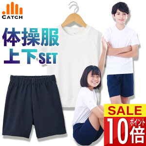 y365o | [z̑ ㉺ZbgyIׂ2_Zbg˔VcEZp̑gݍ킹zɗD X[Xf wZ Lb` ̑ w ct j̎q ̎qyzv