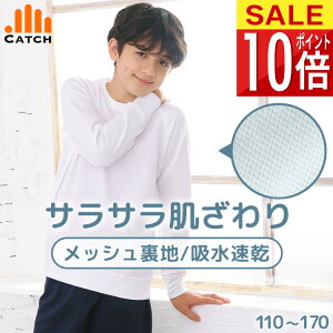 y365o | [z Vc ̑ w ̑ TbƑu bVn 110`170cm Lb` ̑ j̎q ̎q wZ w ct v`v̑yzR679291