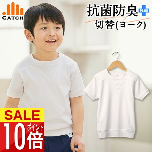 ̑ [Nt  Vc 110`175cm TbƑu 悭 ̑ z RsO ыʗ} V ؑ UVJbg L΍ RۖhL ̑ w wZ j̎q ̎qy