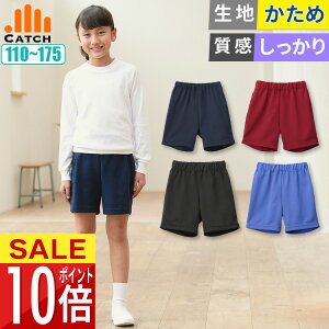 y365o | [zNH[^[pc ̑ Zp Y{ wZ w Lb` ̑ n[tpc  lCr[ GW   u[ j̎q ̎qyzTP622464