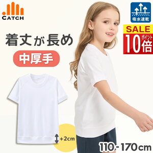   Vc ̑ y䒷{2cm / zwZ ct z ʃbV w j̎q ̎q Lb` ̑ ̈璅 yzTS625272