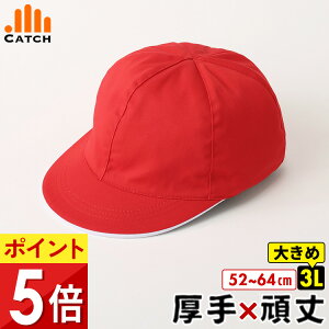 y365o | [z萶n ԔXq 傫TCY ˁy3LTCYz gXq ̑ LL XL XXL dvȃco UVJbg jp j̎q ̎q wZ w ct ۈ牀 z n