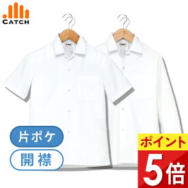 スクールシャツ 開襟 （半袖 | 長袖） 片ポケ 男子 140〜180cm カッターシャツ ノーアイロン オープンカラー 開衿 Yシャツ メンズ ワイシャツ 形態安定 吸水速乾 左胸ポケット A体 中学生 高校生 制服 B477001 / S479332 / B444682