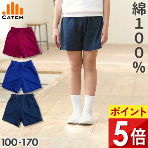 NI[^[pc (Z/GW/ԍ) ɂ₳100% ̑ q wZ NI[^[ n[tpci  R  lCr[j̑ ̈璅 w j̎q ̎qyzE424644/