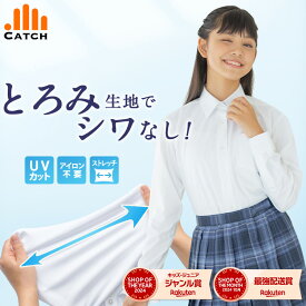 【365日出荷 | 即納】ニットシャツ 長袖 女子 形態安定 ノーアイロン アイロン完全不要 ストレッチ ニット ワイシャツ スクールシャツ レディース ブラウス 中学生 高校生 制服 入学【送料無料】R579831