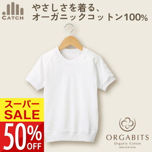 yX[p[SALE zz̑  Vc ɂ₳ 100 I[KjbNRbg100 wyObhfUC2013 I[Krbc ^iz|Pbgt  Lb` ̑ 