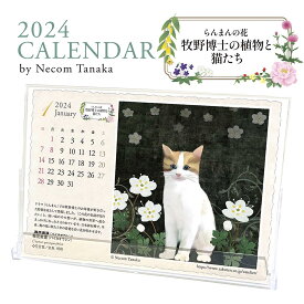 猫夢卓上カレンダー2024【猫 カレンダー】