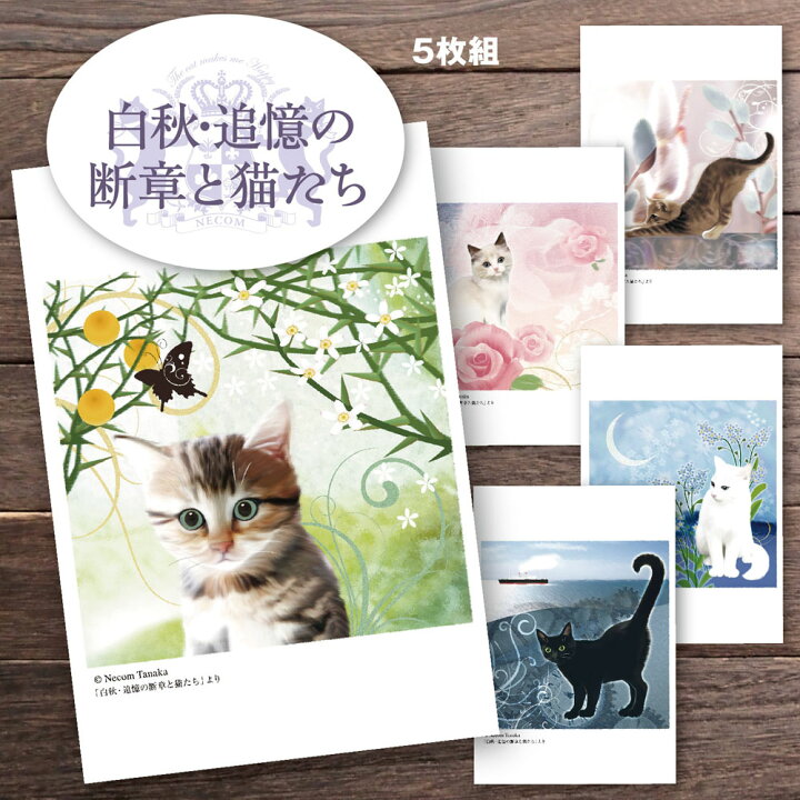 楽天市場 猫夢 ポストカードセット5枚組 白秋 追憶の断章と猫たち 猫 ポストカード ポストカード 猫 北原白秋 猫 花 文学 Catelier キャットリエ