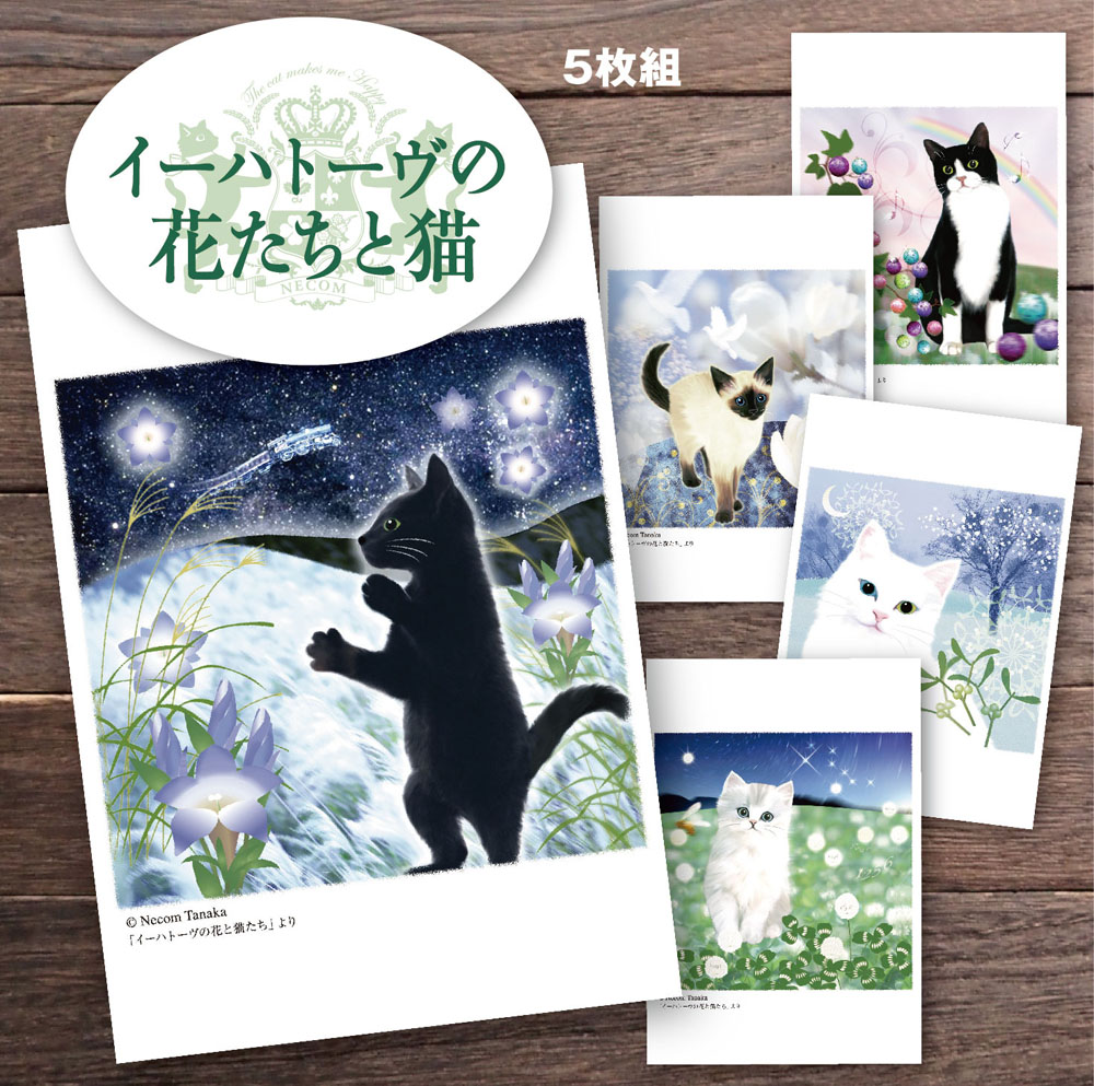 可愛い猫のイラストポストカード5枚組newシリーズも登場して全