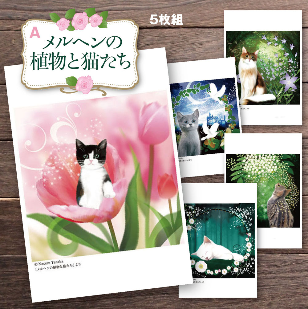 可愛い猫のイラストポストカード5枚組 猫夢 ポストカードセット5枚