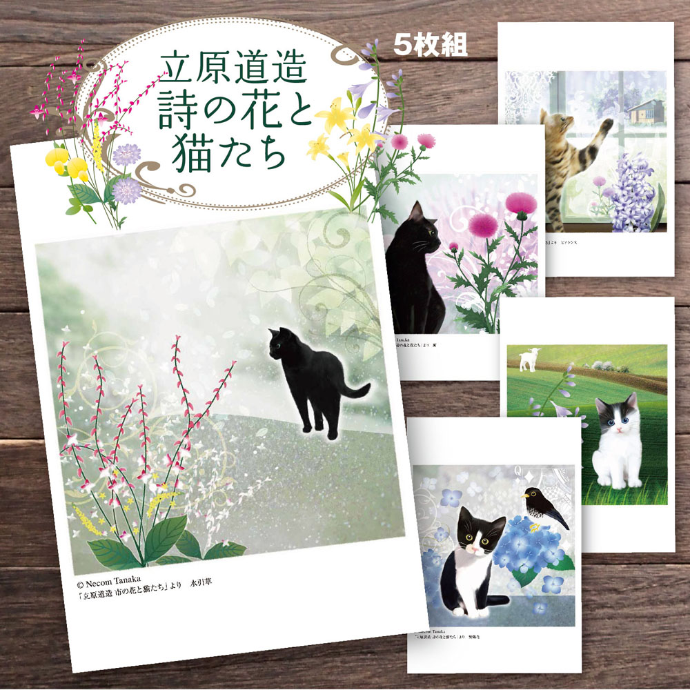 可愛い猫のイラストポストカード5枚組 シリーズ 2 も登場し 全10種 日本メーカー新品 猫夢 ポストカードセット5枚組 猫 文学 店内限界値引き中＆セルフラッピング無料 詩の花と猫たち 立原道造 ポストカード 花