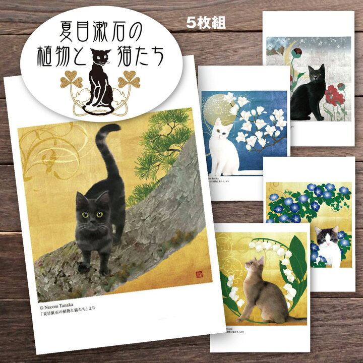 楽天市場 猫夢ポストカードセット5枚組 夏目漱石の植物と猫たち 猫モチーフ 猫グッズ 雑貨 プレゼント 猫 ポストカード ポストカード 猫 猫 花 文学 Catelier キャットリエ