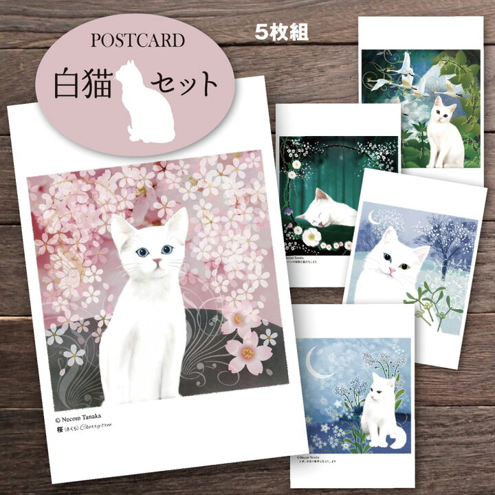 楽天市場 猫夢ポストカードセット5枚組 白猫セット 猫 ポストカード ポストカード 猫 猫 花 文学 しろねこ Catelier キャットリエ