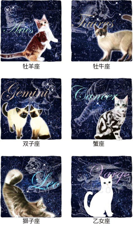 楽天市場】猫夢アート版画 猫の12星座シリーズ【猫アート】【額 版画 