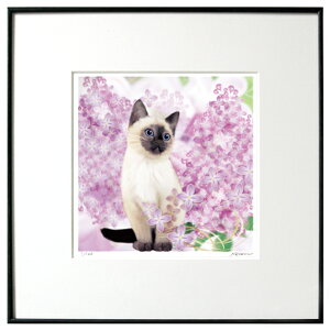 LA[gŉ uCbNvVL yL A[gt[zyzŉzyz