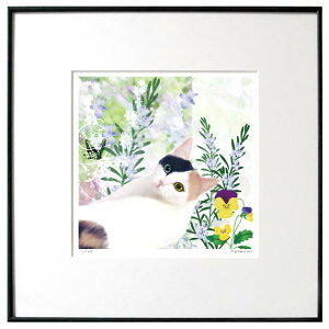 LA[gŉu[Y}[v~P u`yL A[gt[zyzŉzyz