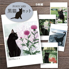 楽天市場 黒猫 ポストカードの通販