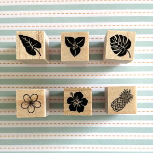 horime tougei nC12-12