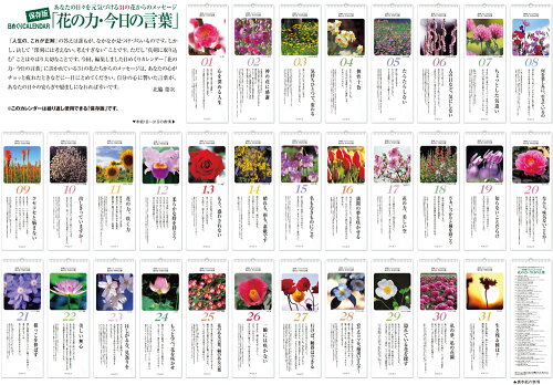 楽天市場 花の力 今日の言葉 日めくりカレンダー Catelier キャットリエ