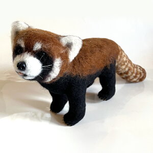 tFgA[gMaronubT[p_vy tGg ʂ݁z