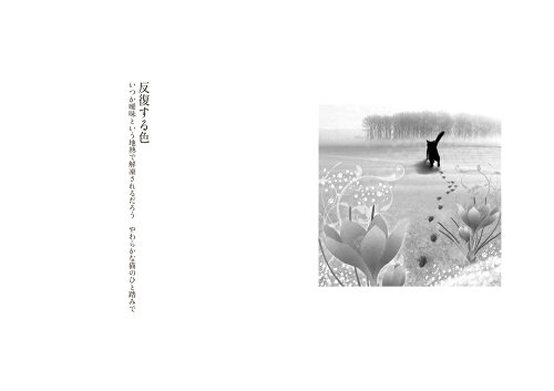 楽天市場 猫夢詩集 猫はときどき気化する 本 詩 猫 Catelier キャットリエ 楽天市場 猫夢詩集 猫はときどき気化する 本 詩 猫 Catelier キャットリエ